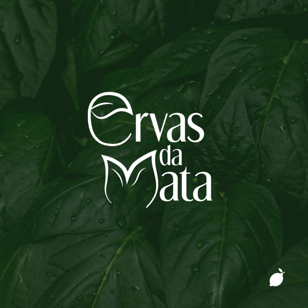 Logo ervas da mata